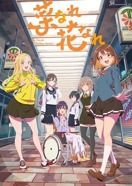 黄山seo优化软件